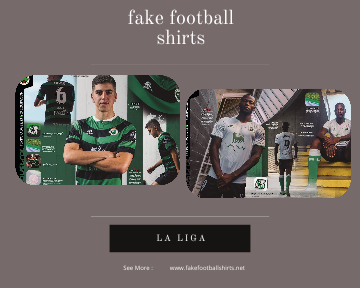 fake Santander football shirts 23-24